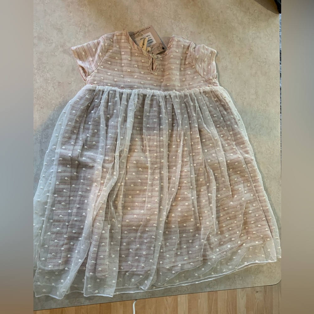 Vignette tulle overlay dress NWT